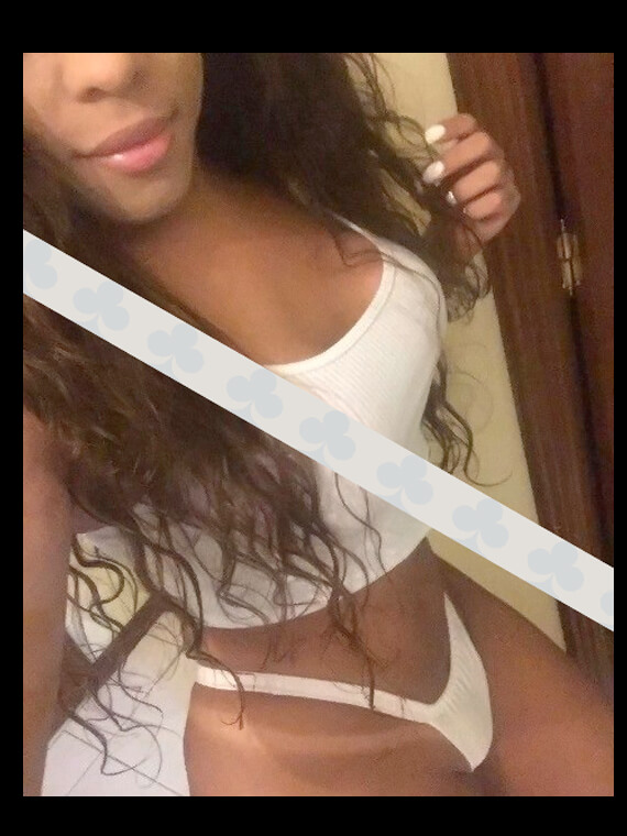 Acompanhante-Travestis Transex Uma Tgatas De Luxo  Acompanhantes Nicole Oliveira-Porto
