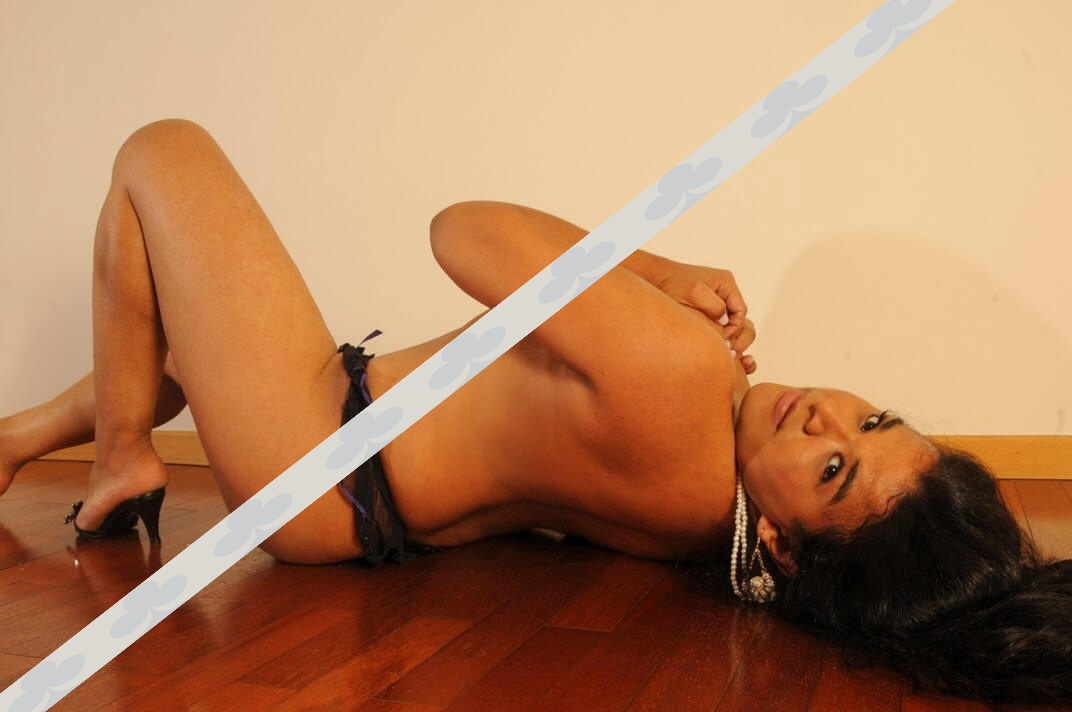Acompanhante-Travestis Um Luxo De Tgatas Lilian-Guarda