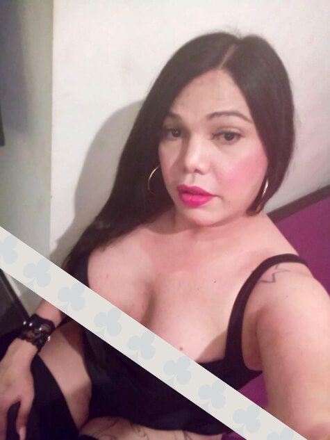 Acompanhante-Acompanhantes Travestis Gaby-Coimbra